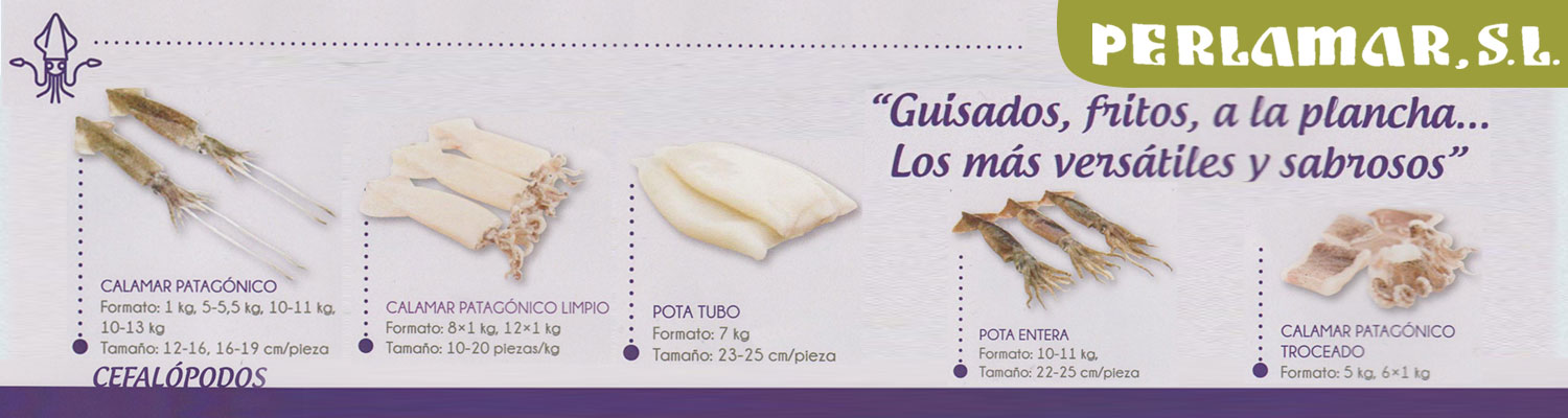 Perlamar S.L. distribuidor de cefalópodos para Hostelería Perlamar S.L. distribuidor de cefalópodos para Hostelería
