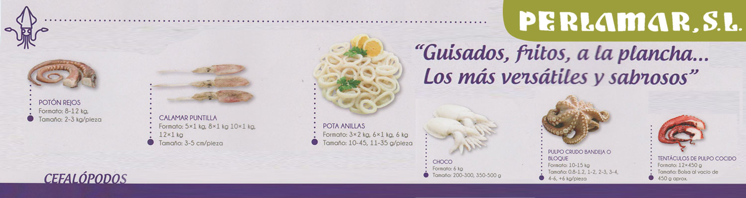 cefalopodos-2Perlamar S.L. distribuidor de cefalópodos para Hostelería Perlamar S.L. distribuidor de cefalópodos para Hostelería